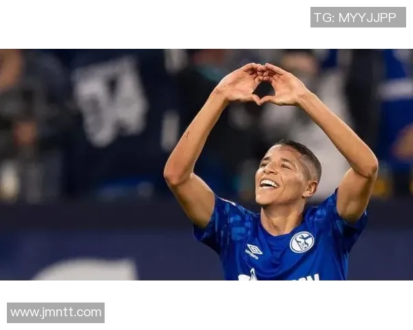 沙尔克04客场险胜汉堡,豪取三连胜 沙尔克04客场险胜汉堡,豪取三连胜